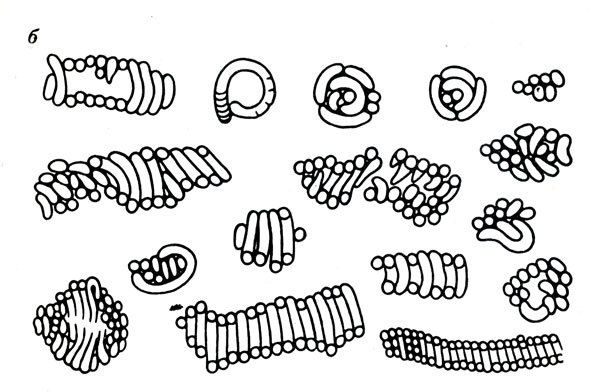 Земля и жизнь - doc2fb_image_0200002E.jpg