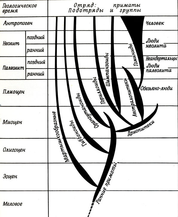 Земля и жизнь - doc2fb_image_0200003F.jpg