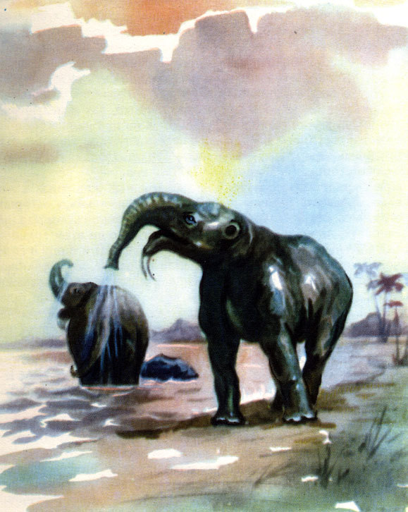 Земля и жизнь - doc2fb_image_02000040.jpg