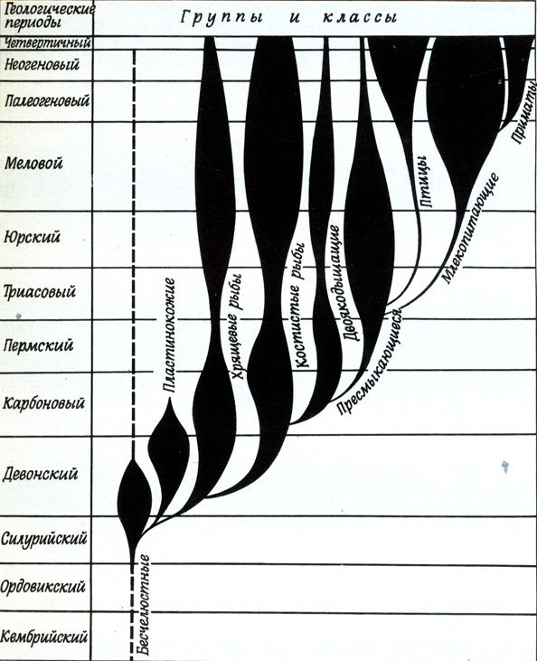 Земля и жизнь - doc2fb_image_02000041.jpg