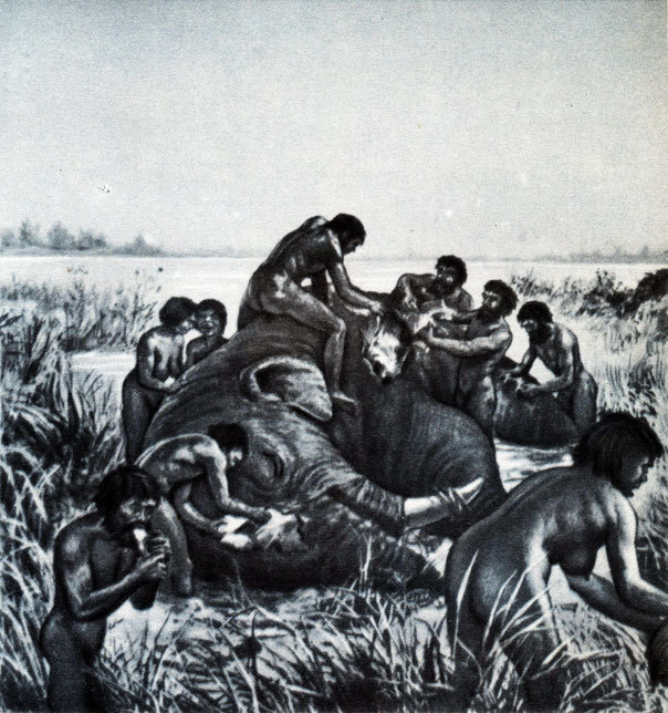 Земля и жизнь - doc2fb_image_02000043.jpg