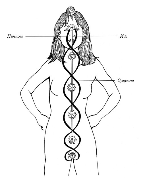 Чакры. Полная энциклопедия для начинающих - i_006.jpg
