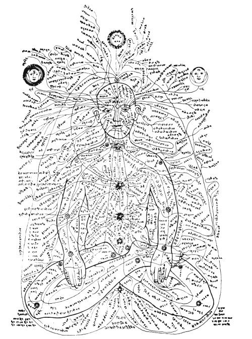 Чакры. Полная энциклопедия для начинающих - i_007.jpg