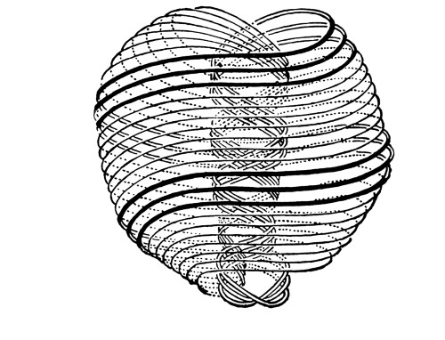 Чакры. Полная энциклопедия для начинающих - i_009.jpg