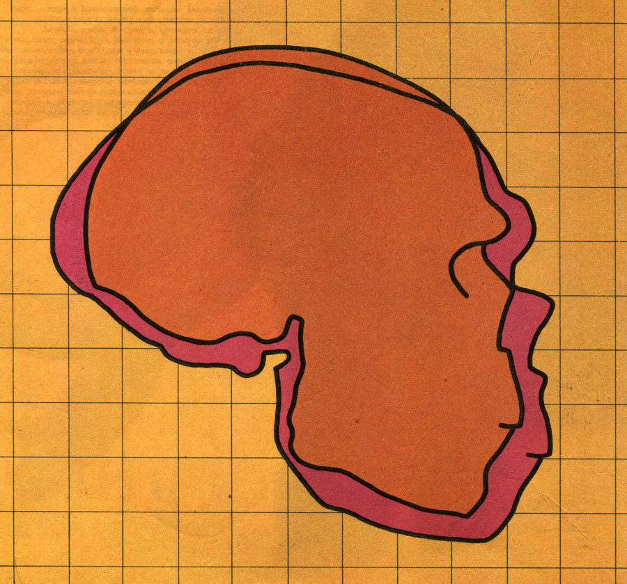 Неандертальцы - _94.jpg