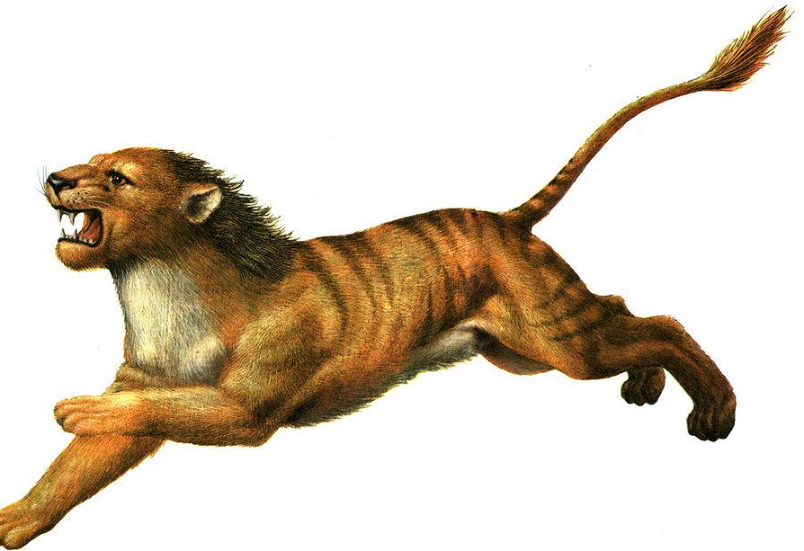 Неандертальцы - _88.jpg