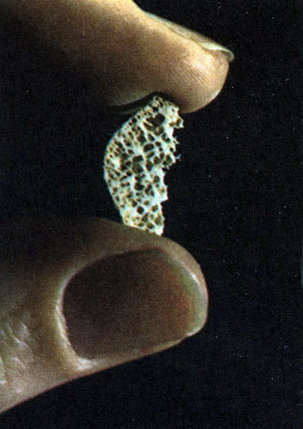 Неандертальцы - _50.jpg