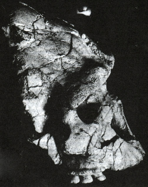 Неандертальцы - _32.jpg