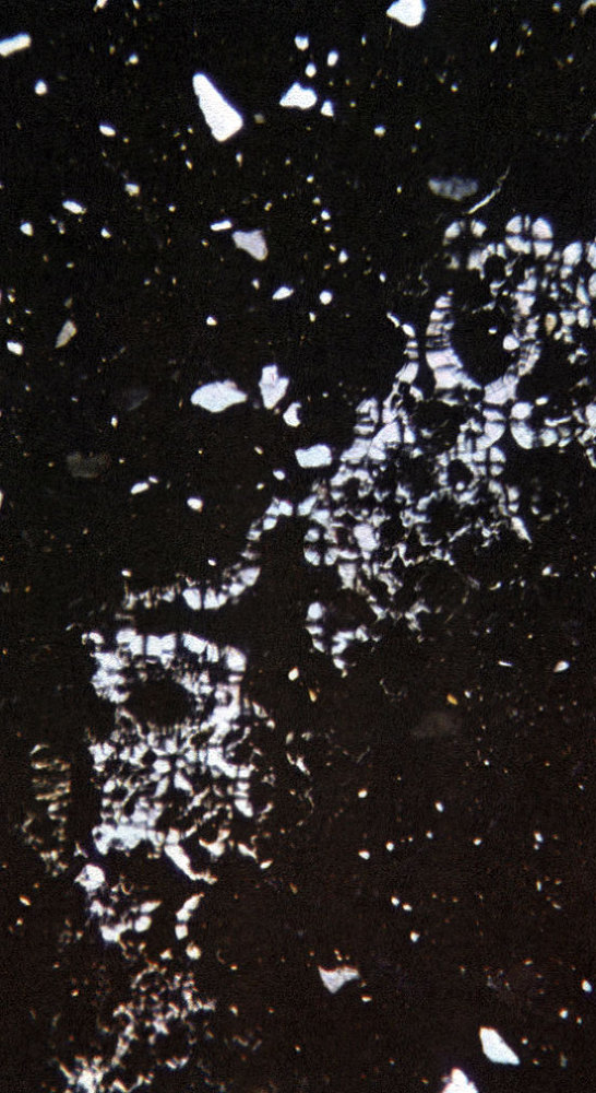 Неандертальцы - _54.jpg