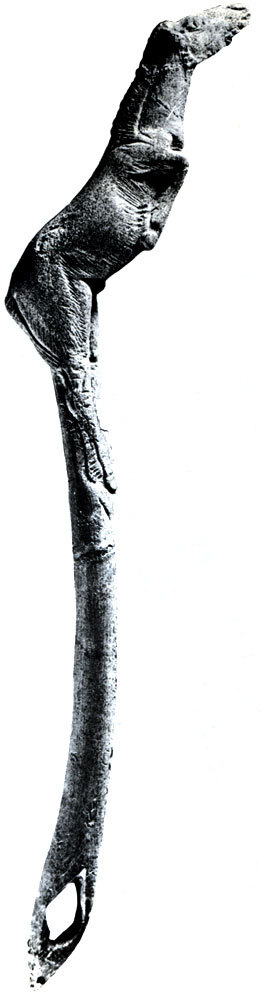 Кроманьонский человек - _101.jpg