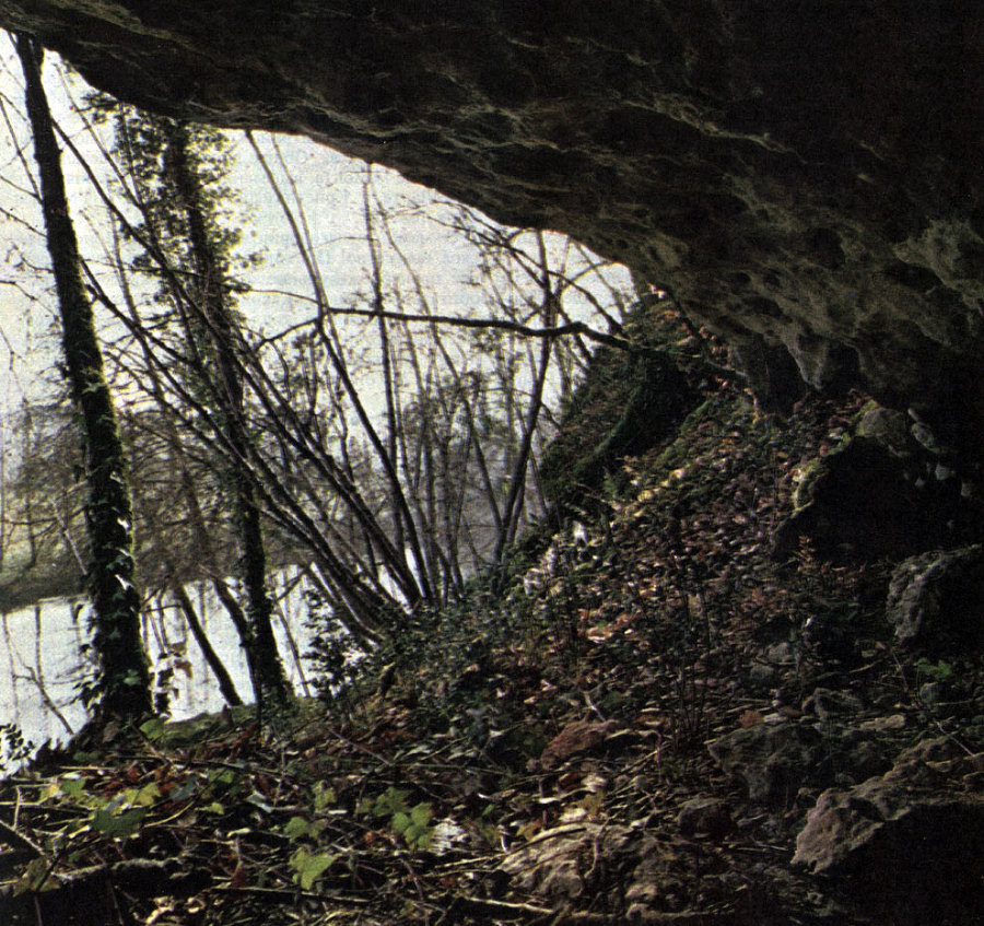 Кроманьонский человек - _22.jpg