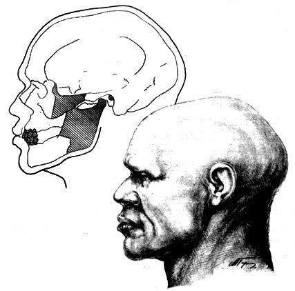 Кроманьонский человек - _13.jpg