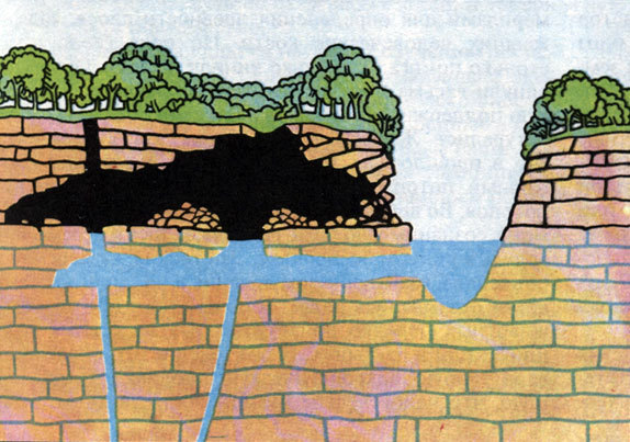 Кроманьонский человек - _17.jpg