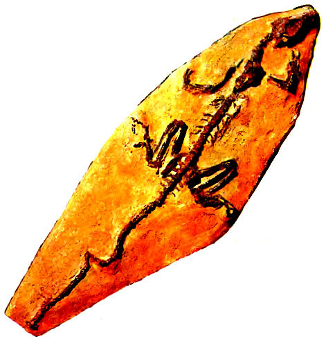 Живое прошлое Земли - doc2fb_image_02000114.jpg