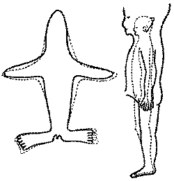 Морские львы и котики - i_007.png