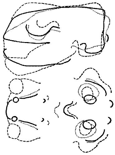 Морские львы и котики - i_008.png