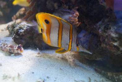 Сказки-сказочки - _7.jpg