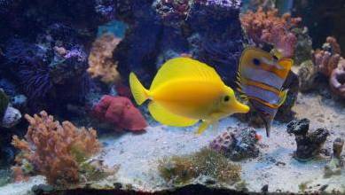 Сказки-сказочки - _8.jpg