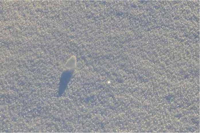 Покинутые или Безумцы - _185.jpg