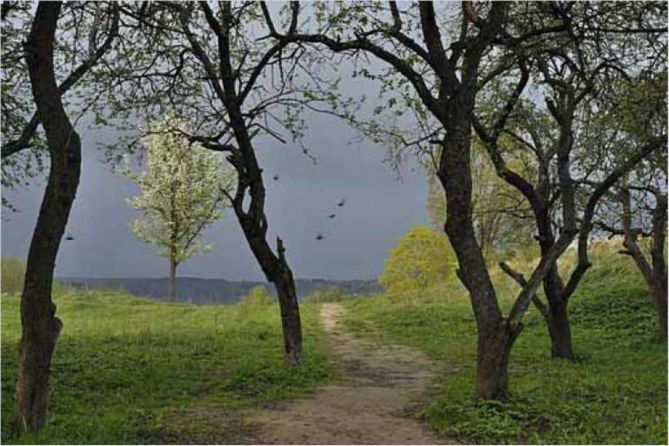 Покинутые или Безумцы - _98.jpg