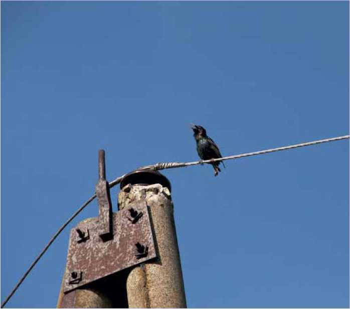 Покинутые или Безумцы - _21.jpg