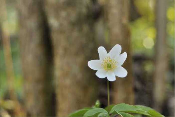 Покинутые или Безумцы - _25.jpg