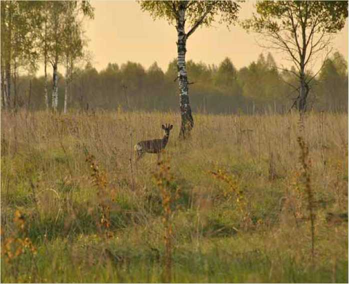 Покинутые или Безумцы - _105.jpg