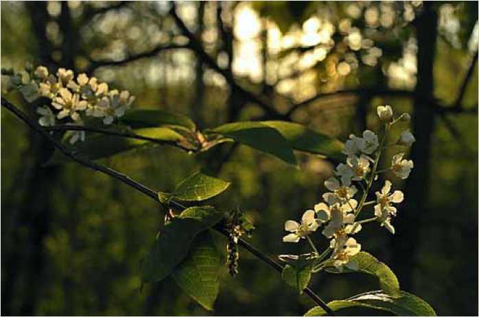 Покинутые или Безумцы - _174.jpg