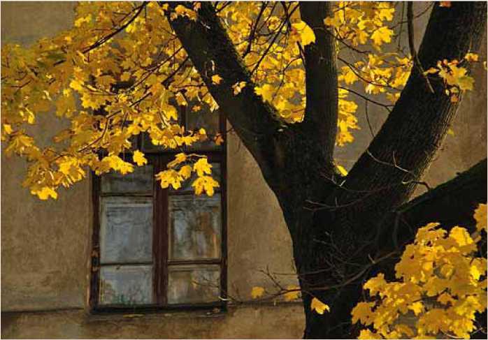 Покинутые или Безумцы - _140.jpg