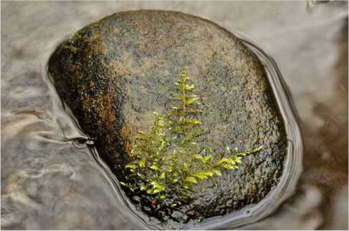 Покинутые или Безумцы - _199.jpg