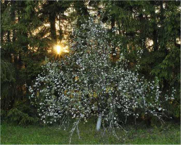 Покинутые или Безумцы - _209.jpg