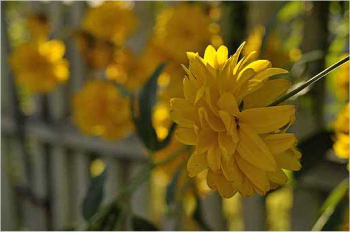 Покинутые или Безумцы - _42.jpg