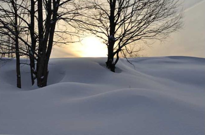 Покинутые или Безумцы - _130.jpg