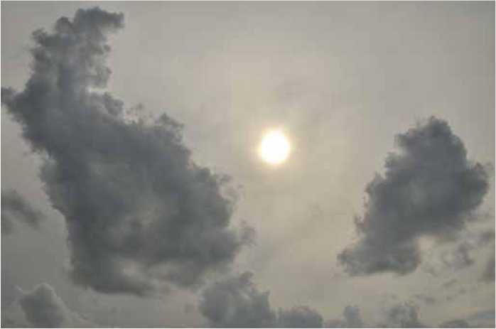 Покинутые или Безумцы - _215.jpg