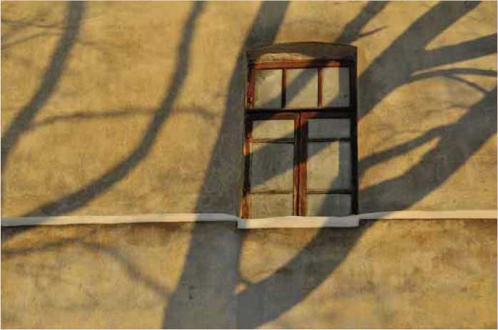 Покинутые или Безумцы - _81.jpg