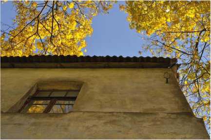 Покинутые или Безумцы - _60.jpg