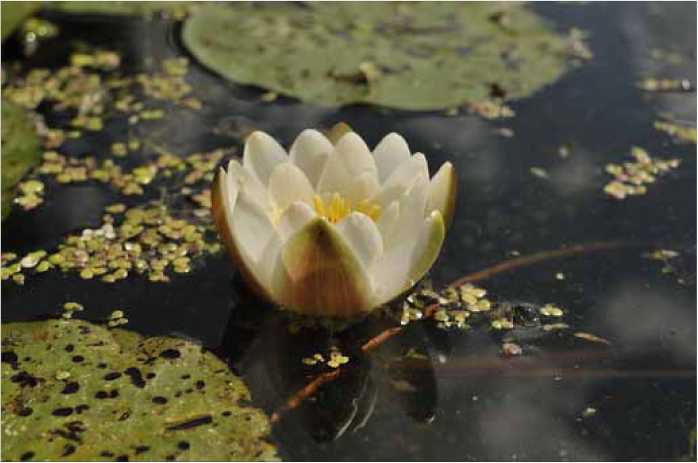 Покинутые или Безумцы - _96.jpg