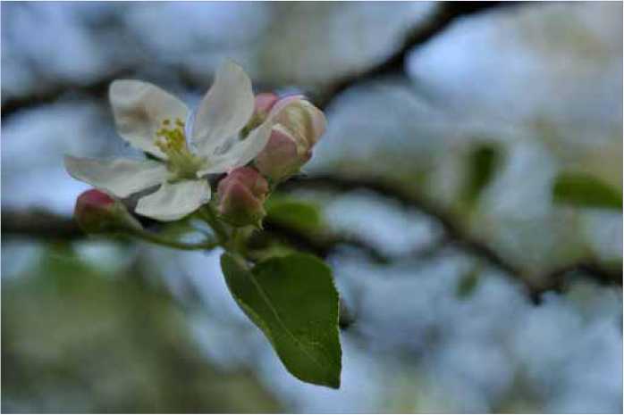 Покинутые или Безумцы - _97.jpg