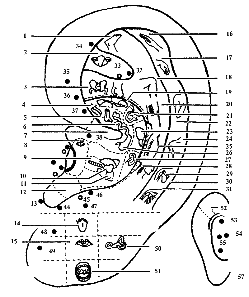 Здоровье для ржавых чайников. Жизнь без таблеток - i_005.png