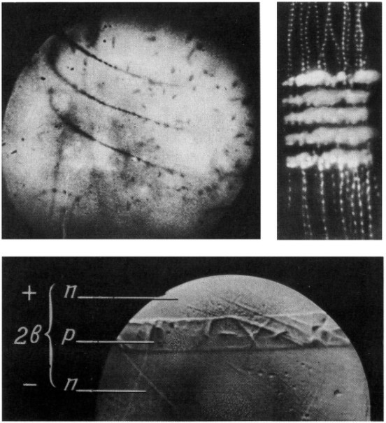 Жизнь и мечта - _17.jpg