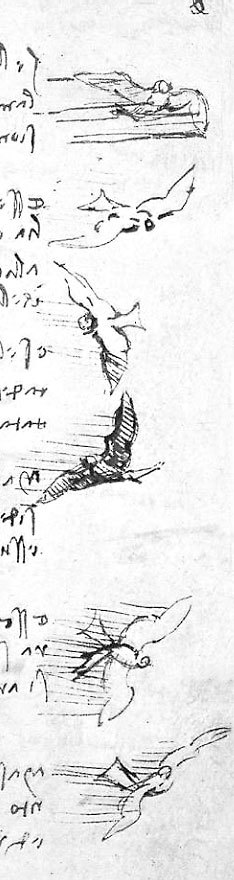 Леонардо да Винчи. Загадки гения - _7.jpg