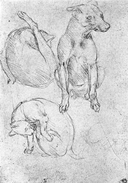 Леонардо да Винчи. Загадки гения - _16.jpg