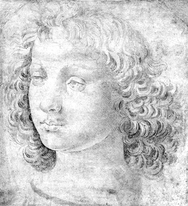 Леонардо да Винчи. Загадки гения - _40.jpg