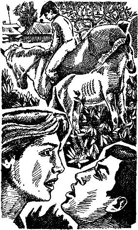 Святые Горы (сборник) - i_010.png