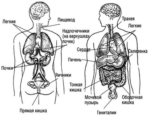 Квантовое Прикосновение: Исцеляющая энергия - i_059.jpg