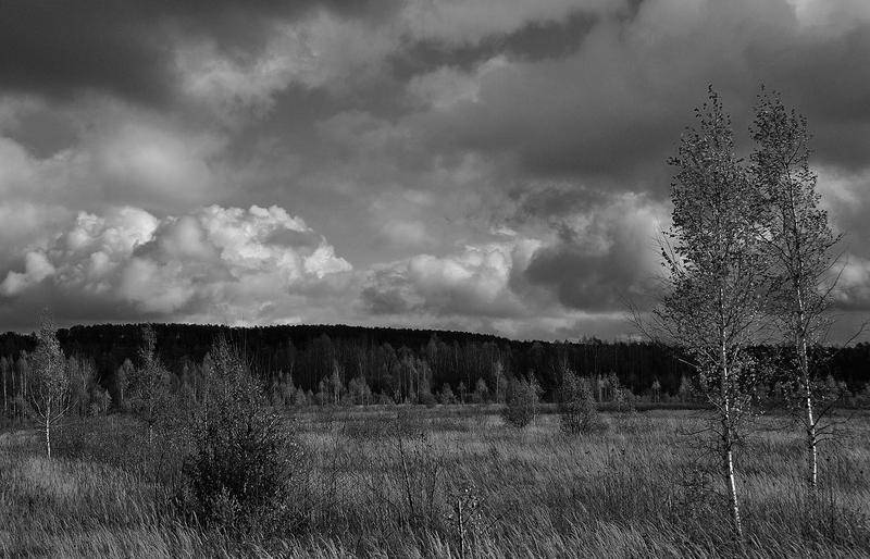 Вокруг света - i_007.jpg