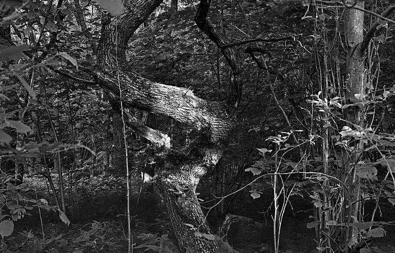 Вокруг света - i_010.jpg