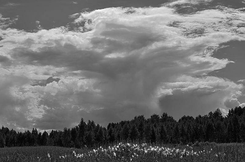 Вокруг света - i_025.jpg