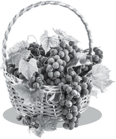 Умный виноградник без хлопот - _1.jpg