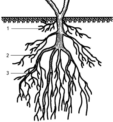 Умный виноградник без хлопот - _6.png